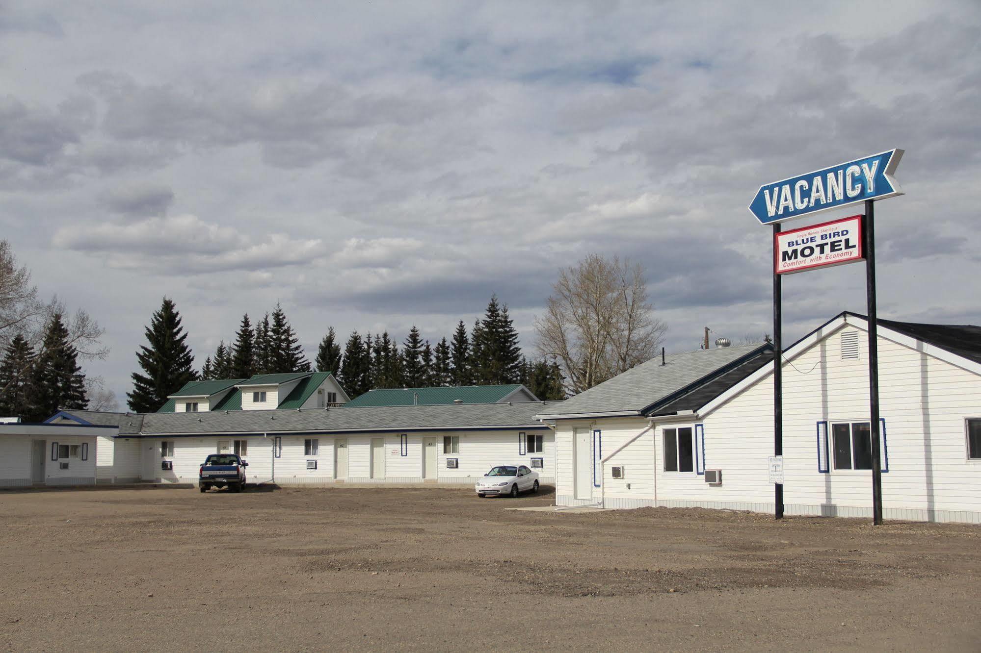 Bluebird Motel Innisfail 外观 照片